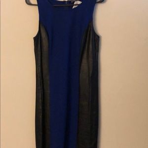 Black and Royal Blue Club Dress